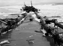 Beached%20Tree%205 (thumbnail)