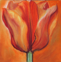 Tulip%20-%20Orange (thumbnail)