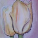 Tulip%20-%20Blush (thumbnail)