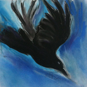 Crow%20Diving (thumbnail)