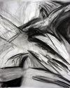 BirdsFlight (thumbnail)