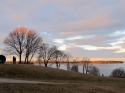 Sunset%20Trees%20w%2FFigures (thumbnail)