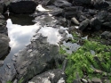 Rock%20Reflect%201 (thumbnail)