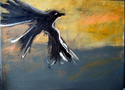 Monhegan%20Crow%20Flight (thumbnail)
