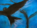 Crow%20on%20Blue (thumbnail)