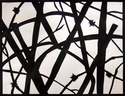 Black%20on%20White (thumbnail)