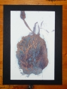 Oil on Paper Oil%20on%20Paper (thumbnail)