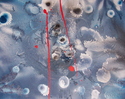Disturbance (thumbnail)