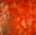 Orange%20Pretty (thumbnail)