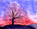 Mighty%20Striking%20Sunset (thumbnail)