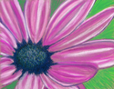 Blush (thumbnail)