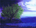 %22Lakeshore%20Memories%22 (thumbnail)