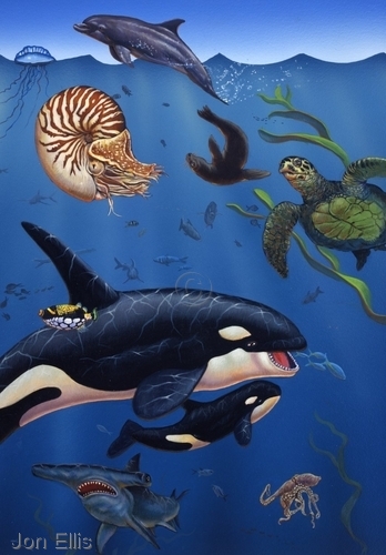 Painting-Sea Creatures