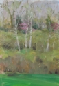 Early%20Spring (thumbnail)