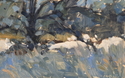 Winter%20Tree (thumbnail)