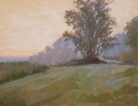 Foggy%20Hillside (thumbnail)
