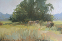 Late%20Afternoon%20with%20Hay%20Bales (thumbnail)
