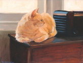 Cat%20with%20Radio%2C%202003 (thumbnail)