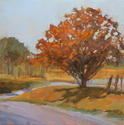 Fall%20Afternoon (thumbnail)