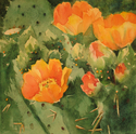 Painting--Watercolor-Floralorange prickly pear cactus
