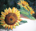 Painting--Watercolor-FloralGiant Sunflowers