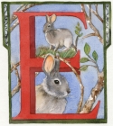 Monogram E Watercolor