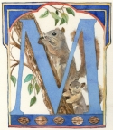 Painting--Watercolor-AnimalsMonogram M Watercolor