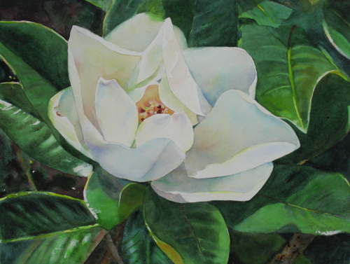 Painting-Floral-Magnolia