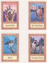 Painting-Wolf Song Cards 3