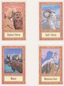 Painting--Acrylic-AnimalsWolfsong Cards 4