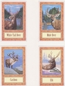 Painting--Acrylic-AnimalsWolfsong Cards 5 