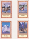 Painting--Acrylic-AnimalsWolfsong Cards 6