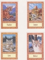 Painting--Acrylic-AnimalsWildlife Cards 8