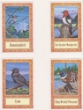 Painting--Acrylic-AnimalsWildlife Cards 10