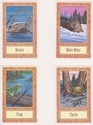 Painting--Acrylic-AnimalsWolfsong Cards 11