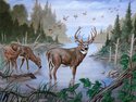 Painting--Acrylic-WildlifeChipper's Deer Finished