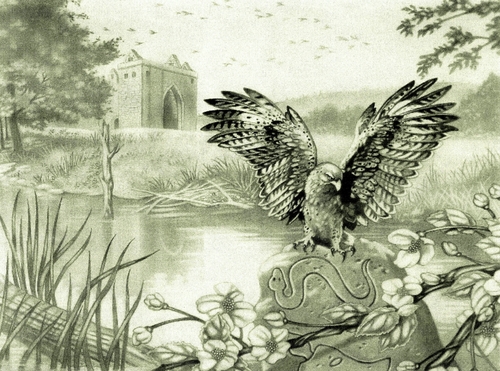 Drawing-Fantasy-Equinox