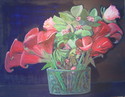 Calla Lillies