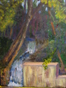 Hidden Waterfall