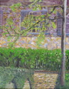 Spring Sun on the Walls