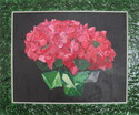 Pink Hydrangeas