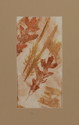Autumn Leaves II