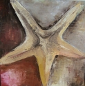 ESTRELLA DE MAR ESTRELLA%20DE%20MAR (thumbnail)