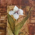 LILLIE LILLIE (thumbnail)