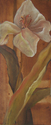 FLOR SOBRE OCRE II FLOR%20SOBRE%20OCRE%20II (thumbnail)