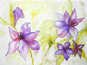 LILIS EN PRIMAVERA I LILIS%20EN%20PRIMAVERA%20I (thumbnail)