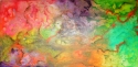 Vivid Vivid (thumbnail)