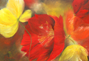 LETICIA  HERRERA - JARDIN DE AMAPOLAS