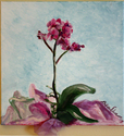 Gratefulness (thumbnail)