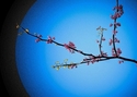 LIEF,ANSON,WALLACE,HOUSTON,TEXAS,FINE ART,PHOTOGRAPHY - Abstract Photography